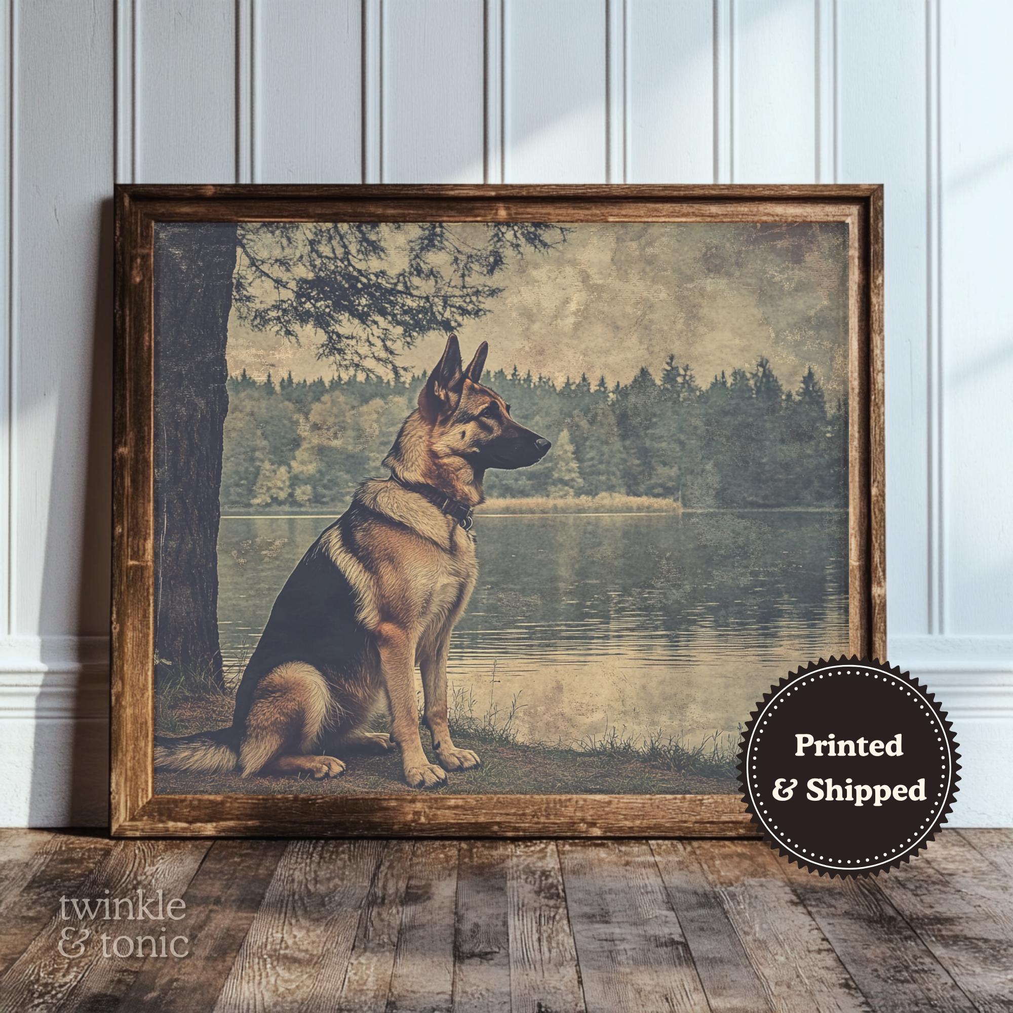 Vintage German Shepherd Art
