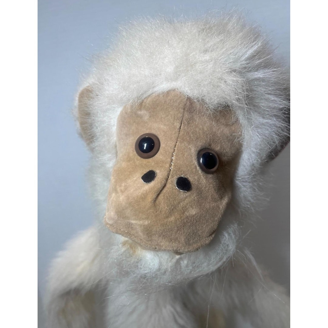 【親株】【120cmOver】P. White Monkey. Original il_1080xN.7787326187_4zrc.jpg