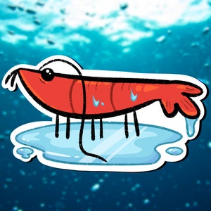 Sad Shrimp Sticker | Shrimp Out of Water | Shrimp Enthusiast | Glossy Vinyl Sticker for Laptops, Water Bottles, Books