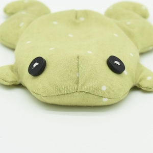 May include: A light green, plush frog-shaped toy with white polka dots. The frog has two black button eyes and small, rounded arms and legs. The toy is made of soft fabric.