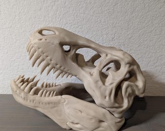 T-Rex Skull