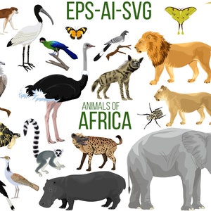Big set No.2 of African animals - vector illustration (EPS+AI+SVG)