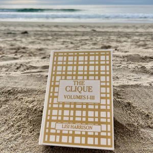 The Clique Books 1-3 Custom Rebind
