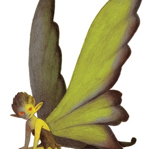 Fairy