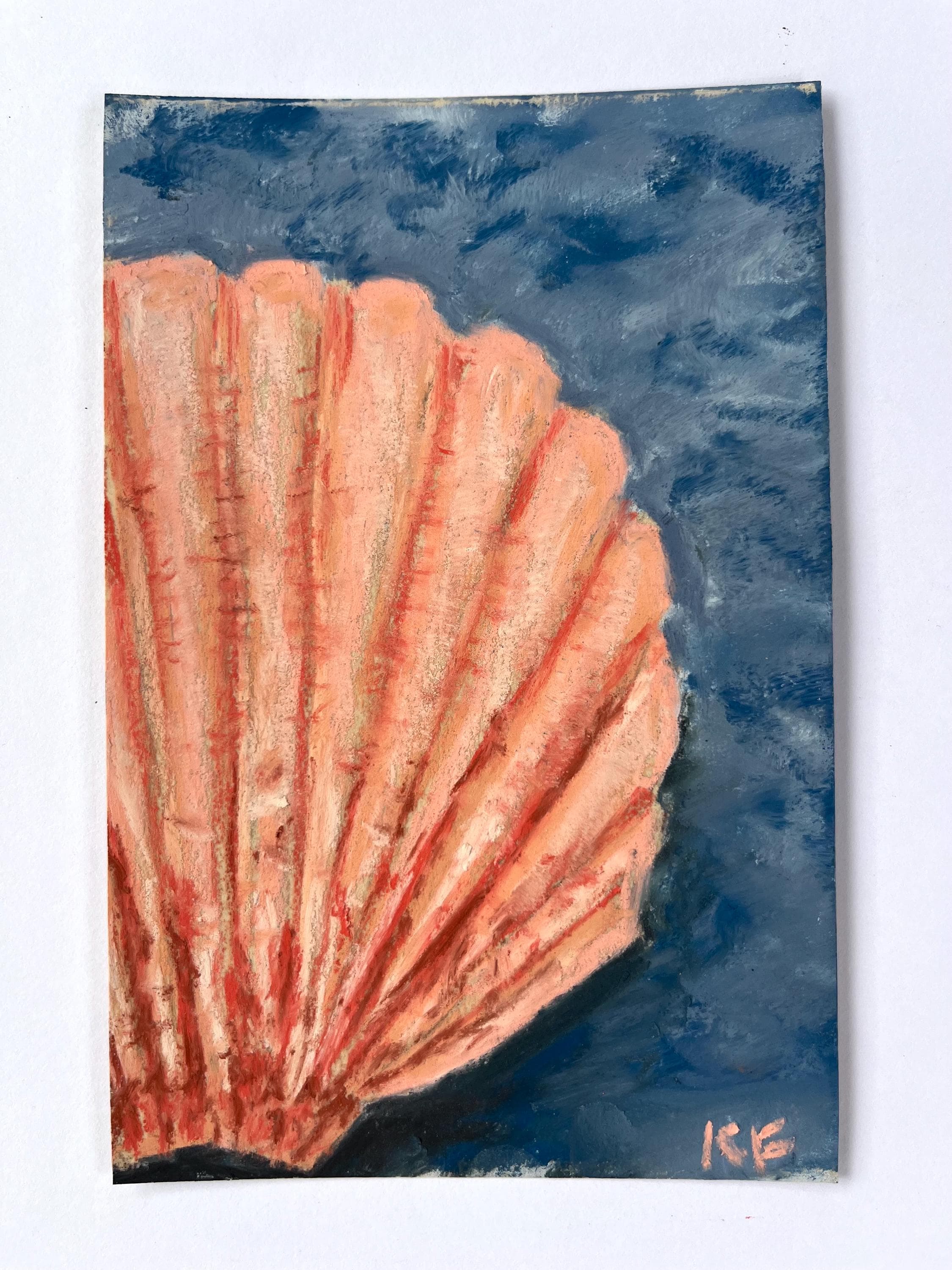 Original Soft Pastel Painting, 4x6 Artwork, Shell Still Life, Small Original Art Gift, Beach House Decor, Ocean Art