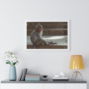 Monkey of Ubud | Bali, Indonesia | Framed Nature and Animal Art