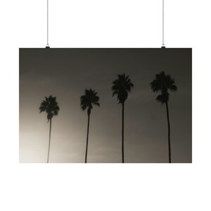 Black White Palm Tree | Boho Minimalism Photography Print