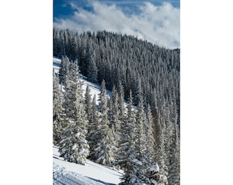 Aspen Colorado | Skiing Mountain Landscape Print