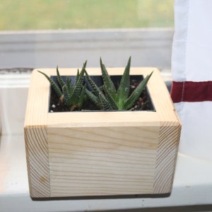 Wood Planter - Windowsill, Desk, Herb