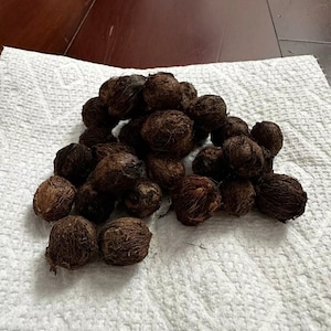 May include: A pile of brown, hairy, round seed pods on a white paper towel.