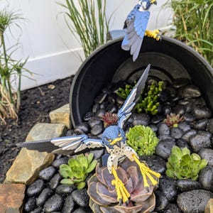 May include: Two blue and grey bird figurines perched on a rock garden. The bird on the left is perched on a succulent plant with its wings spread. The bird on the right is perched on a black pot.
