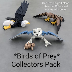May include: A set of three 3D printed bird figurines, including an owl, eagle, and falcon. The birds are painted in various colours and come with a small prey animal. The set is labelled "*Birds of Prey* Collectors Pack".