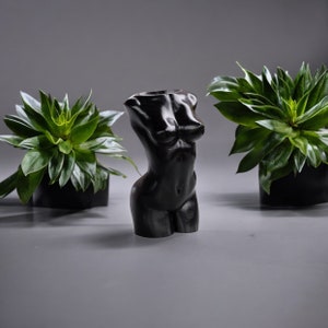 May include: A black, smooth, sculpted figure of a human torso, standing on a gray surface. Two green plants in black pots are on either side of the figure.