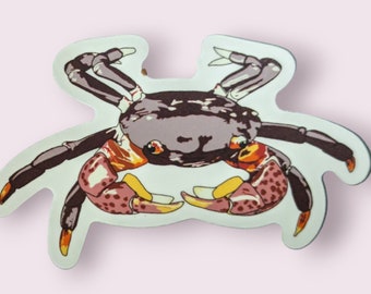 Purple shore crab sticker, vinyl sticker, waterproof, laptop decal, Water bottle sticker, bumper sticker, stocking stuffer, gift for kids