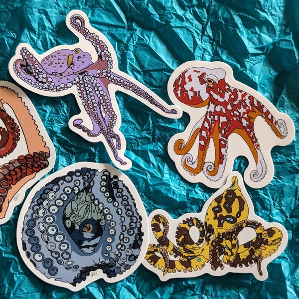 Octopus Sticker Gift Set