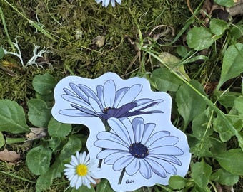 African Daisy Sticker | Dishwasher-Safe, Fade-Proof Vinyl Sticker | Laptop Sticker | Water Bottle Sticker | Gift for Gardeners