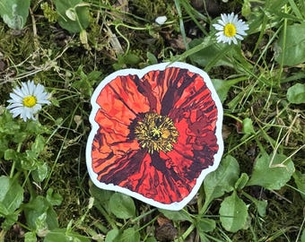 Red Poppy Sticker | Dishwasher-Safe, Fade-Proof Vinyl Sticker | Laptop Sticker | Water Bottle Sticker | Gift for Gardener
