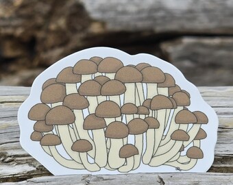 Honey Mushrooms Sticker | Dishwasher-Safe, Fade-Proof Vinyl Sticker | Laptop Sticker | Water Bottle Sticker