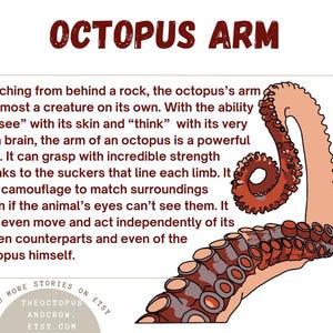 Octopus Arm Sticker | Dishwasher-Safe Fade-Proof Vinyl Sticker | Laptop Decal | Water Bottle Sticker | Tentacle Sticker | Gift Octopus Lover Bild 10