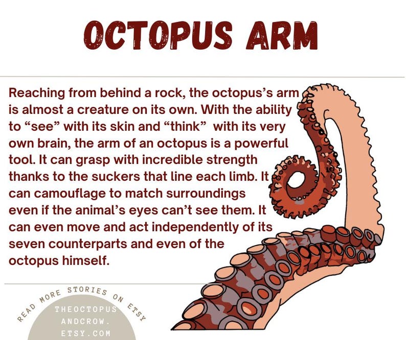 Octopus Arm Sticker | Dishwasher-Safe Fade-Proof Vinyl Sticker | Laptop Decal | Water Bottle Sticker | Tentacle Sticker | Gift Octopus Lover Bild 10