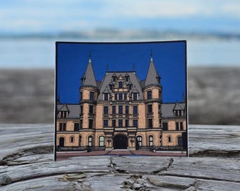 Stadium High School (Padua High) Sticker | Dishwasher-Safe, Fade-Proof Vinyl Sticker | Laptop Sticker | Water Bottle Sticker | 10 Things