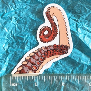 Octopus Arm Sticker | Dishwasher-Safe Fade-Proof Vinyl Sticker | Laptop Decal | Water Bottle Sticker | Tentacle Sticker | Gift Octopus Lover Bild 3