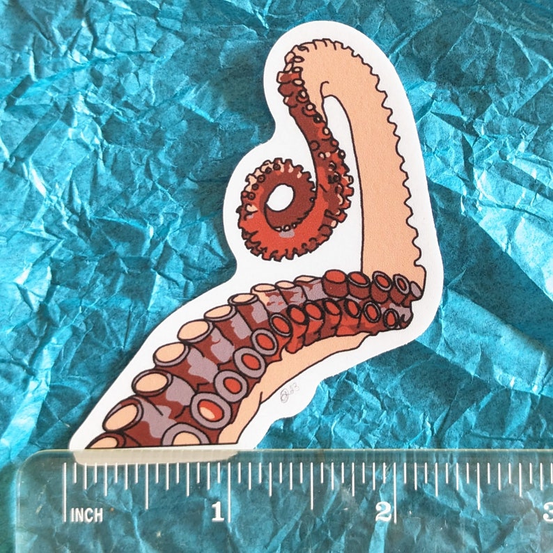 Octopus Arm Sticker | Dishwasher-Safe Fade-Proof Vinyl Sticker | Laptop Decal | Water Bottle Sticker | Tentacle Sticker | Gift Octopus Lover Bild 3