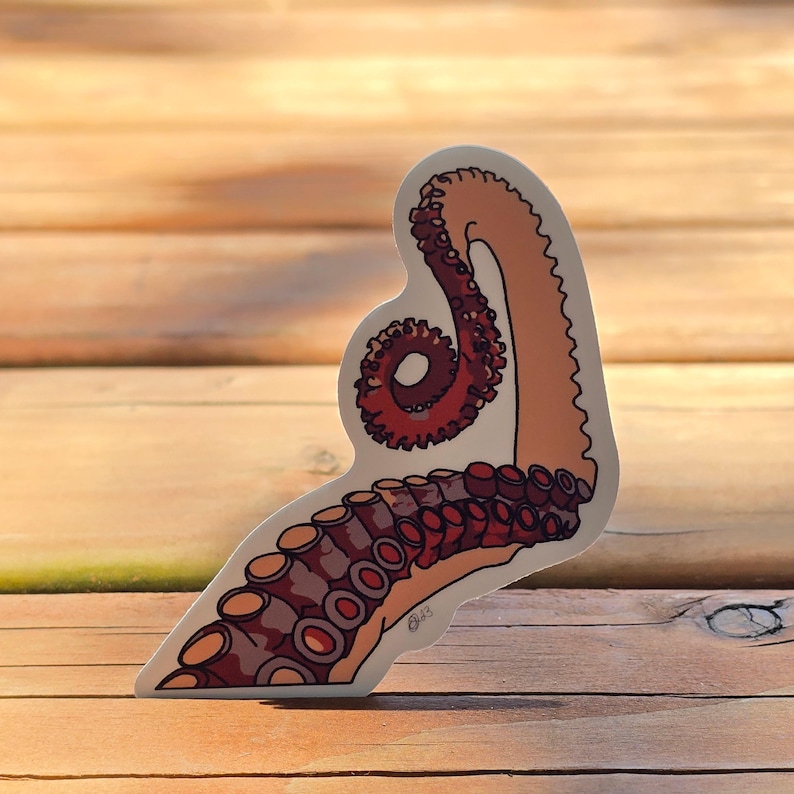 Octopus Arm Sticker | Dishwasher-Safe Fade-Proof Vinyl Sticker | Laptop Decal | Water Bottle Sticker | Tentacle Sticker | Gift Octopus Lover Bild 1