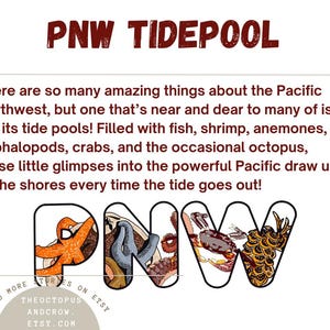 May include: A colorful illustration of the letters PNW, with each letter filled with images of marine life found in tide pools, such as starfish, crabs, and anemones. The text "PNW TIDEPOOL" is at the top of the image. The text "READ MORE STORIES ON ETSY THEOCTOPUS ANDCROW. ETSY.COM" is at the bottom of the image.