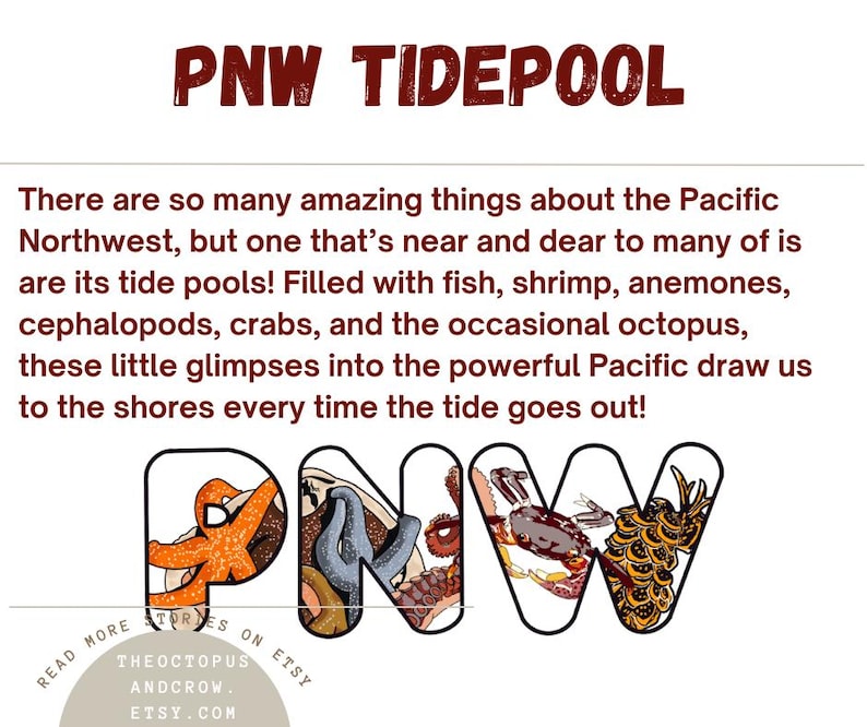 May include: A colorful illustration of the letters PNW, with each letter filled with images of marine life found in tide pools, such as starfish, crabs, and anemones. The text "PNW TIDEPOOL" is at the top of the image. The text "READ MORE STORIES ON ETSY THEOCTOPUS ANDCROW. ETSY.COM" is at the bottom of the image.