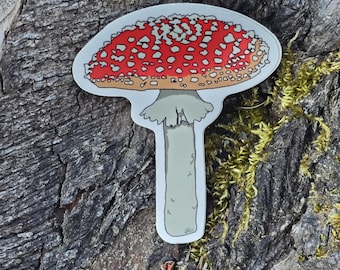 Red Amanita Mushroom Sticker, waterproof Vinyl Sticker, Laptop Decal, Water Bottle Sticker, Cottagecore, stocking stuffer, gift for under 10