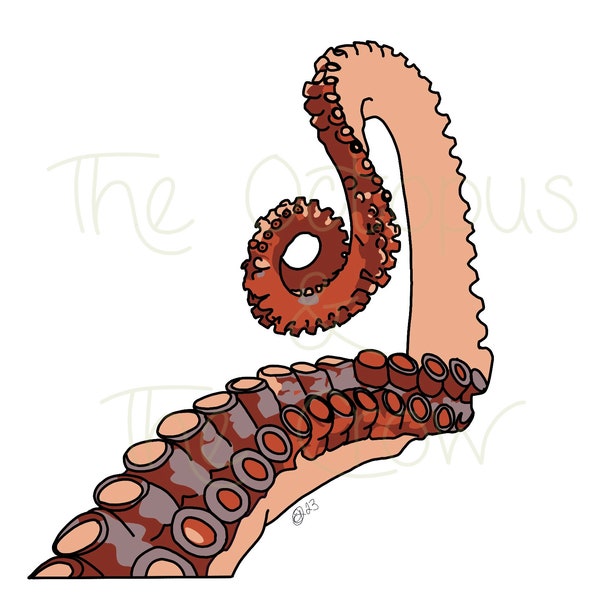 Octopus Arm Sticker