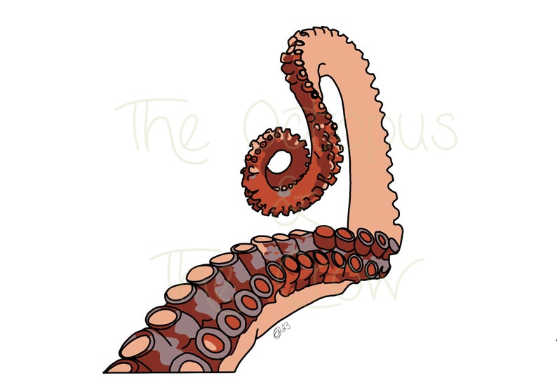 Octopus Arm Sticker | Dishwasher-Safe Fade-Proof Vinyl Sticker | Laptop Decal | Water Bottle Sticker | Tentacle Sticker | Gift Octopus Lover Bild 4
