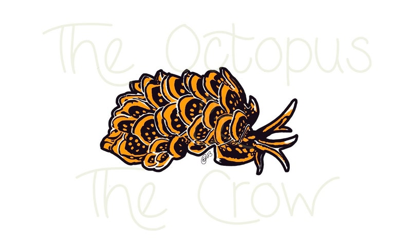 May include: A black and orange illustration of an octopus with the text "The Octopus The Crow" in white.