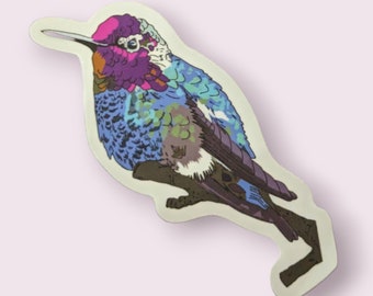 Hummingbird vinyl sticker, Annas Hummingbird, Gift under 10, Stocking Stuffer, Gift for kids, waterproof, laptop decal, water bottle sticker