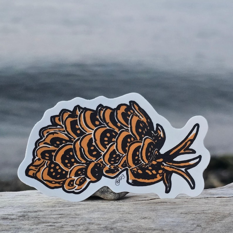 May include: A sticker of a stylized orange and black sea slug with a white background. The sticker is on a wooden surface.