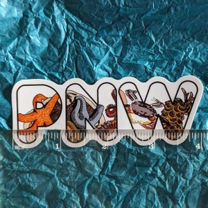 May include: White sticker with the letters PNV in a wavy font. Each letter is filled with a different sea creature: a starfish, an octopus, a crab, and a seahorse.