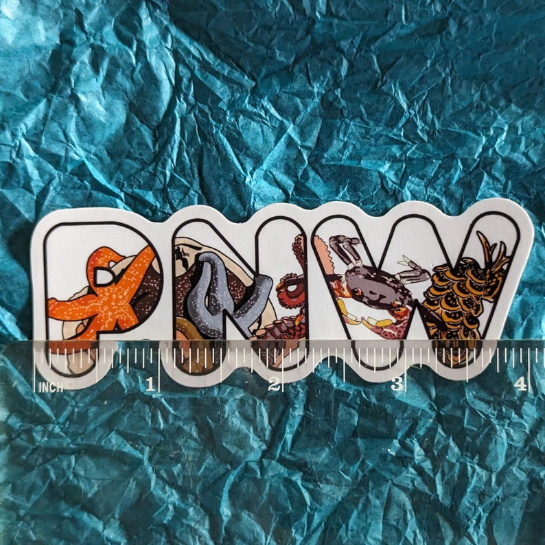 May include: White sticker with the letters PNV in a wavy font. Each letter is filled with a different sea creature: a starfish, an octopus, a crab, and a seahorse.