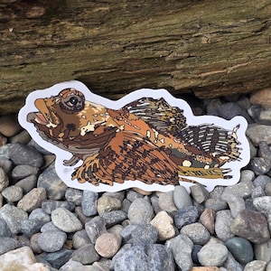 May include: A sticker of a brown and white fish with a large, open mouth and a spotted pattern. The fish has large, wing-like fins.