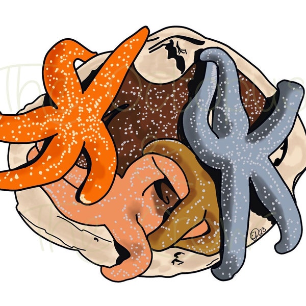 Bouquet of Sea Stars Sticker