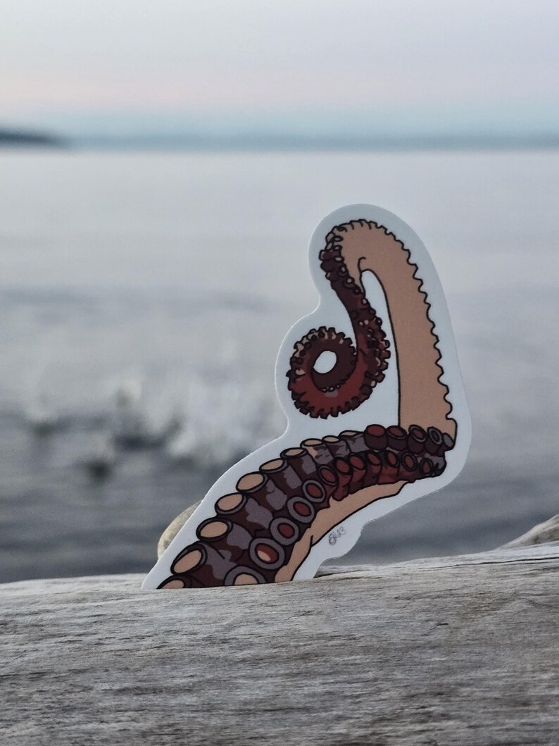 Octopus Arm Sticker | Dishwasher-Safe Fade-Proof Vinyl Sticker | Laptop Decal | Water Bottle Sticker | Tentacle Sticker | Gift Octopus Lover Bild 5