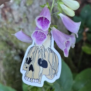 May include: A sticker of a skull with dripping wax, resembling a candle, with a purple flower behind it.