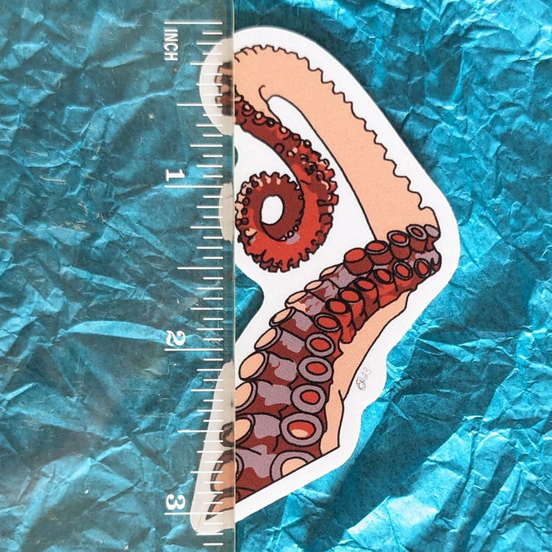 Octopus Arm Sticker | Dishwasher-Safe Fade-Proof Vinyl Sticker | Laptop Decal | Water Bottle Sticker | Tentacle Sticker | Gift Octopus Lover Bild 2