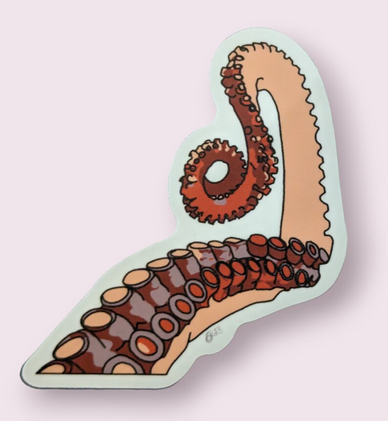 Octopus Arm Sticker | Dishwasher-Safe Fade-Proof Vinyl Sticker | Laptop Decal | Water Bottle Sticker | Tentacle Sticker | Gift Octopus Lover Bild 6
