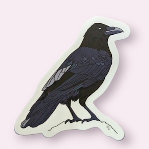 May include: A black crow sticker with detailed feathers and a white background.