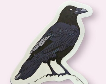 Corvid, Crow Sticker, Waterproof, UV-Proof Vinyl Sticker, Stocking Stuffer, Gift for Child, Laptop Sticker, Bumper Sticker, Gift under 10