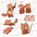 Red Panda Digital Planner Sticker Pack - Etsy
