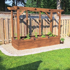 May include: A wooden raised garden bed with a trellis, filled with young plants, sits on a gravel base. A wooden greenhouse is to the right, and a wooden fence is in the background. The scene is set in a well-maintained backyard.