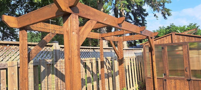 May include: A wooden pergola with a lattice roof and support beams. The structure is made of stained wood and is set in a garden. A wooden fence and a small wooden shed are in the background.