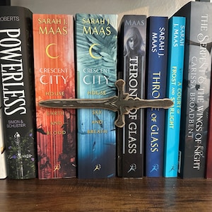 May include: A bookshelf with a variety of fantasy novels, including "Throne of Glass" and "A Court of Thorns and Roses", with a wooden sword bookmark.